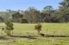91 Pollards Road, Elphinstone, Vic 3448-Image