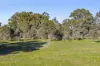 91 Pollards Road, Elphinstone, Vic 3448-Image