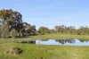 91 Pollards Road, Elphinstone, Vic 3448-Image