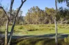 91 Pollards Road, Elphinstone, Vic 3448-Image