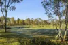 91 Pollards Road, Elphinstone, Vic 3448-Image