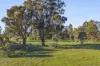 91 Pollards Road, Elphinstone, Vic 3448-Image