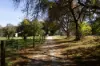 91 Sullivans Road, Strathfieldsaye, Vic 3551-Image