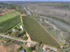 91 Twentyfourth Street, Renmark, SA 5341-Image