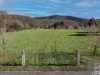 91 Warby Range Road, Glenrowan, Vic 3675-Image