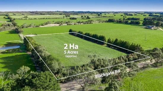 915 Blackgate Road, Torquay, Vic 3228