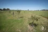 92 Commercial Road, Majorca, Vic 3465-Image