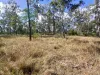 92 McClymont Road, Wattle Camp, Qld 4615-Image