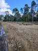 92 McClymont Road, Wattle Camp, Qld 4615-Image