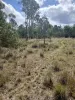 92 McClymont Road, Wattle Camp, Qld 4615-Image