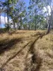 92 McClymont Road, Wattle Camp, Qld 4615-Image