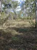 92 McClymont Road, Wattle Camp, Qld 4615-Image