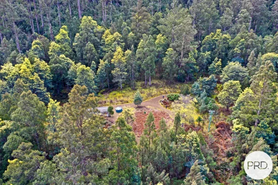 921 Back River Road, Magra, Tas 7140