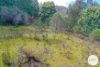 921 Back River Road, Magra, Tas 7140-Image