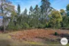 921 Back River Road, Magra, Tas 7140-Image