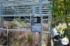 921 Back River Road, Magra, Tas 7140-Image