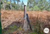 921 Back River Road, Magra, Tas 7140-Image