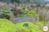 921 Back River Road, Magra, Tas 7140-Image