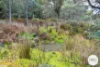 921 Back River Road, Magra, Tas 7140-Image