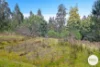 921 Back River Road, Magra, Tas 7140-Image