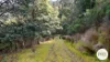 921 Back River Road, Magra, Tas 7140-Image