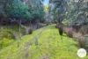 921 Back River Road, Magra, Tas 7140-Image