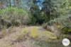 921 Back River Road, Magra, Tas 7140-Image