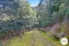 921 Back River Road, Magra, Tas 7140-Image