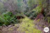 921 Back River Road, Magra, Tas 7140-Image