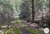 921 Back River Road, Magra, Tas 7140-Image