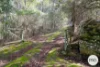 921 Back River Road, Magra, Tas 7140-Image