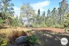 921 Back River Road, Magra, Tas 7140-Image