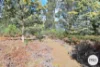 921 Back River Road, Magra, Tas 7140-Image