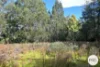 921 Back River Road, Magra, Tas 7140-Image