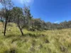 925 Marked Tree Road, Gundaroo, NSW 2620-Image