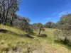 925 Marked Tree Road, Gundaroo, NSW 2620-Image