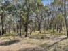925 Marked Tree Road, Gundaroo, NSW 2620-Image