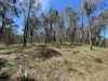 925 Marked Tree Road, Gundaroo, NSW 2620-Image