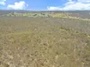 925 Marked Tree Road, Gundaroo, NSW 2620-Image