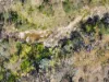 925 Marked Tree Road, Gundaroo, NSW 2620-Image