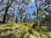 925 Marked Tree Road, Gundaroo, NSW 2620-Image