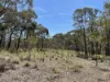 925 Marked Tree Road, Gundaroo, NSW 2620-Image