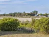 93 Carlton Bluff Road, Primrose Sands, Tas 7173-Image