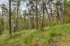 935 Buttermans Track, Christmas Hills, Vic 3775-Image
