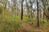 935 Buttermans Track, Christmas Hills, Vic 3775-Image