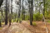 935 Buttermans Track, Christmas Hills, Vic 3775-Image