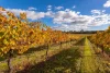 93A Amazon Drive, Beechboro, WA 6063-Image