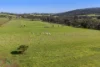 94 Toy Road, Bindoon, WA 6502-Image