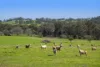 94 Toy Road, Bindoon, WA 6502-Image