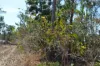95 Erickson Crescent, Wagait Beach, NT 0822-Image